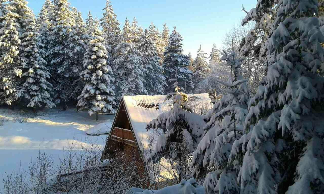 ミトロバツ Vikendica Tarsko Srce Sヴィラ エクステリア 写真